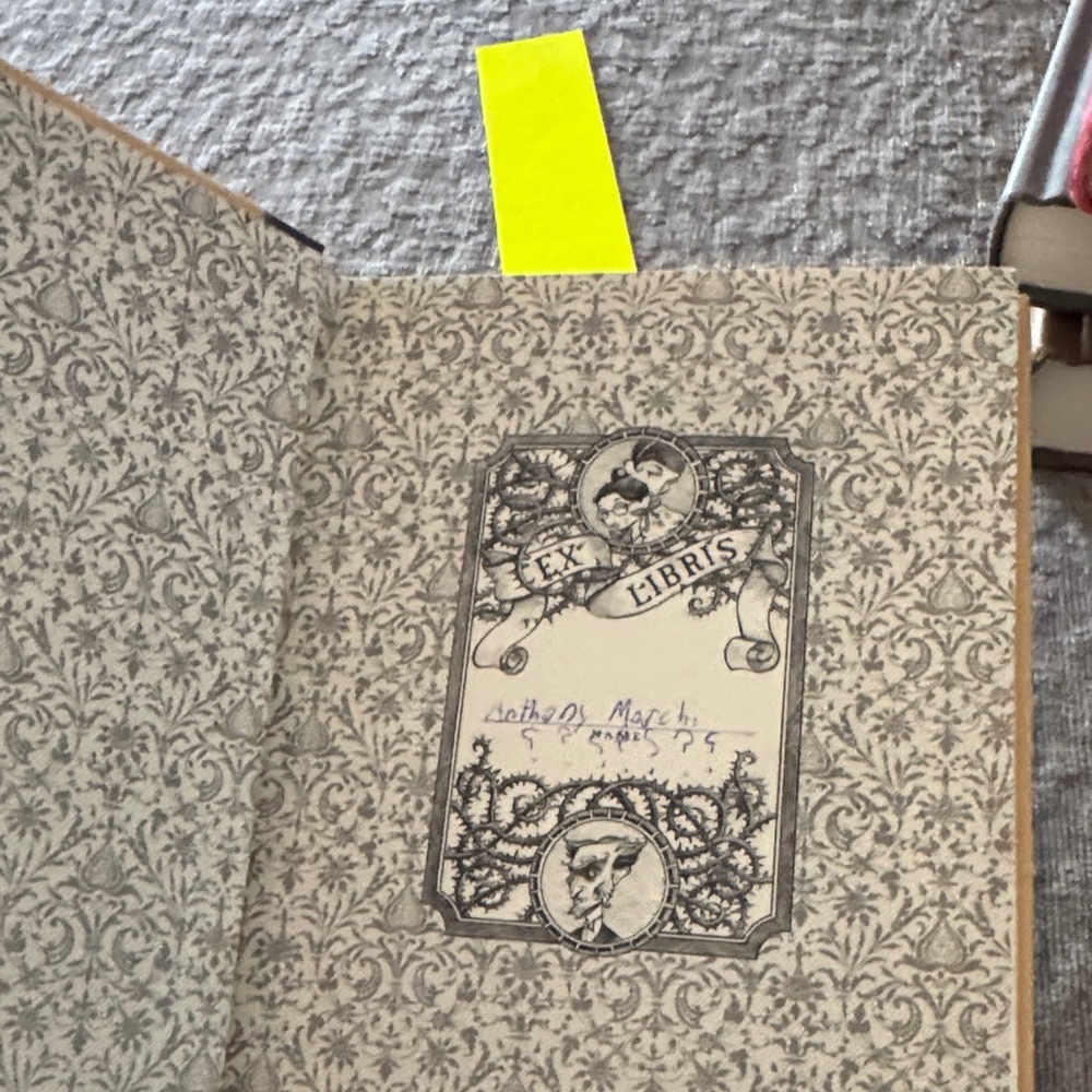 A Series of Unfortunate Events Book Set - Multicolor - Picture 14 of 16